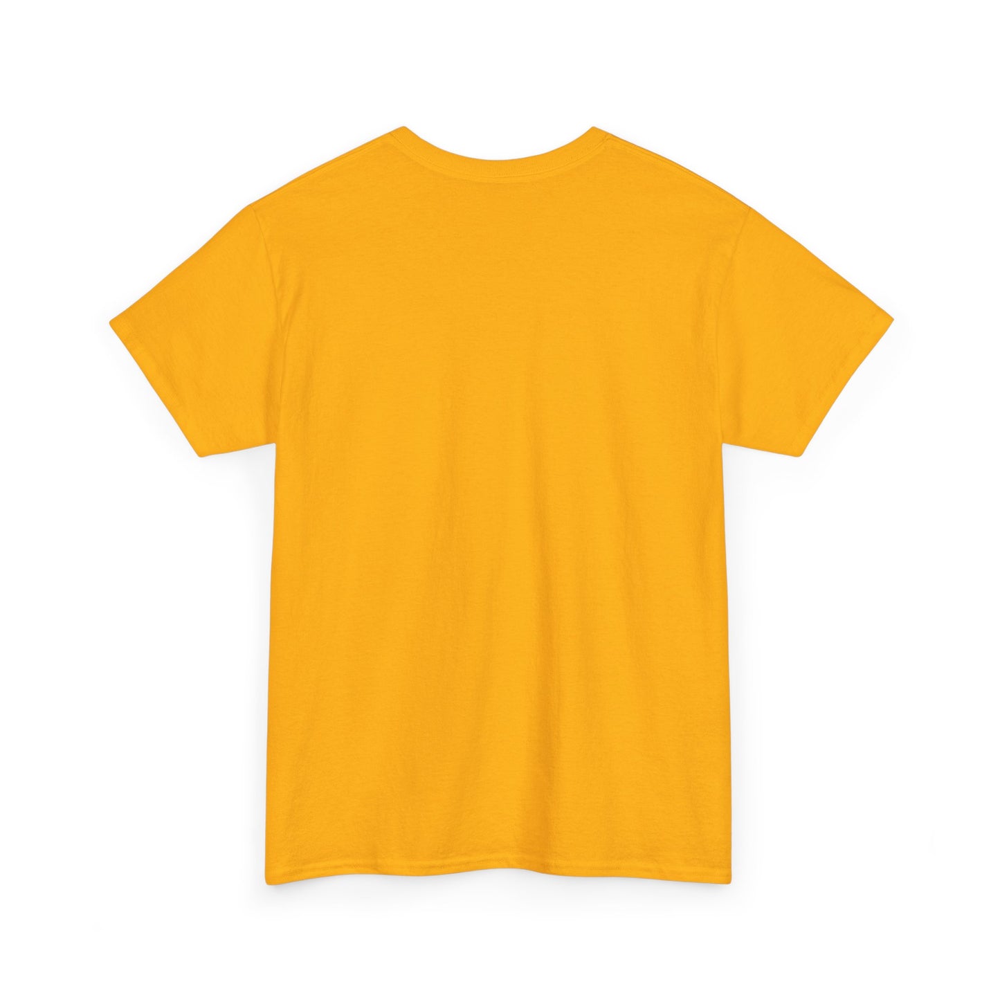 Ace of Pentacles - Unisex Heavy Cotton Tee